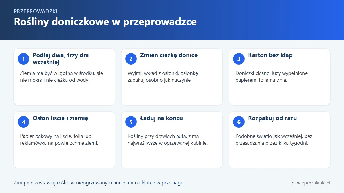 Infografika: sześć zasad przewozu roślin doniczkowych, od podlania kilka dni wcześniej do rozpakowania zaraz po przyjeździe