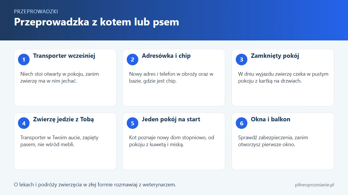 Infografika: sześć kroków przeprowadzki z kotem lub psem, od oswojenia z transporterem po pierwsze dni w nowym domu